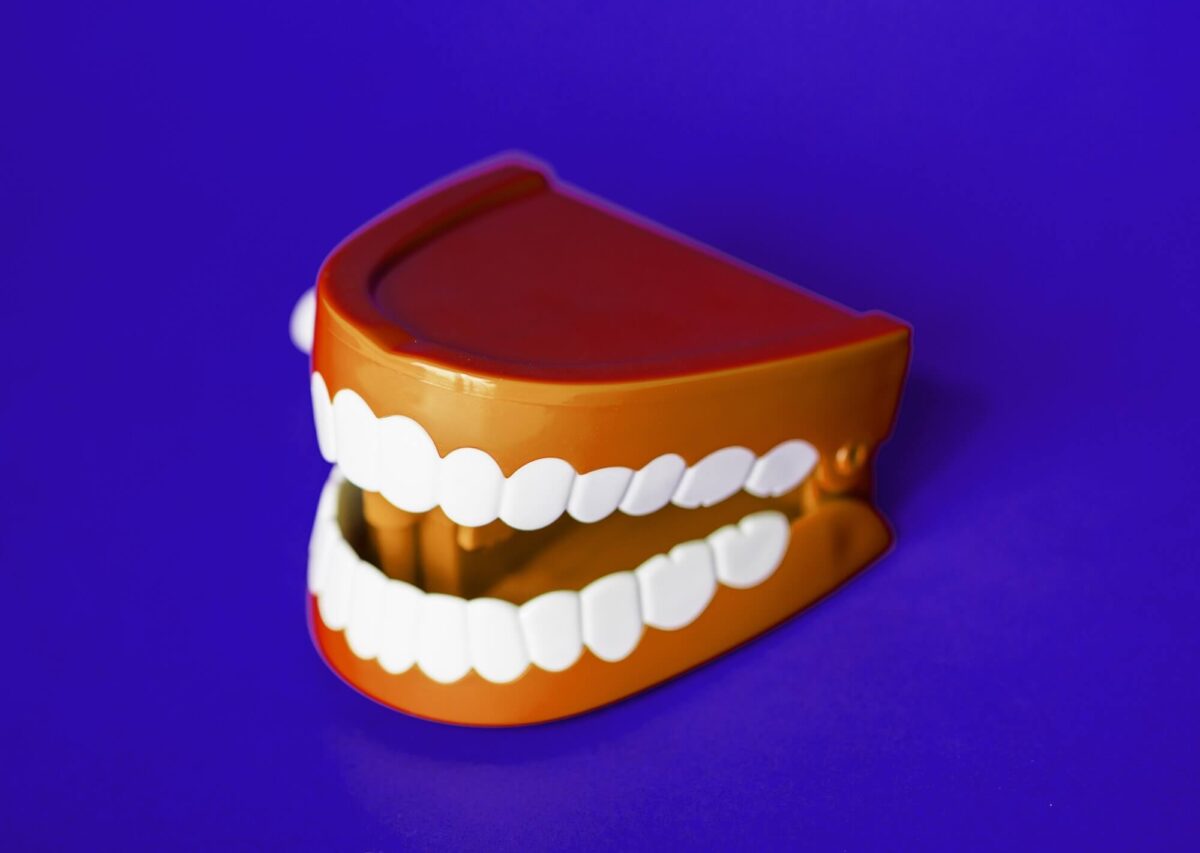 tooth model